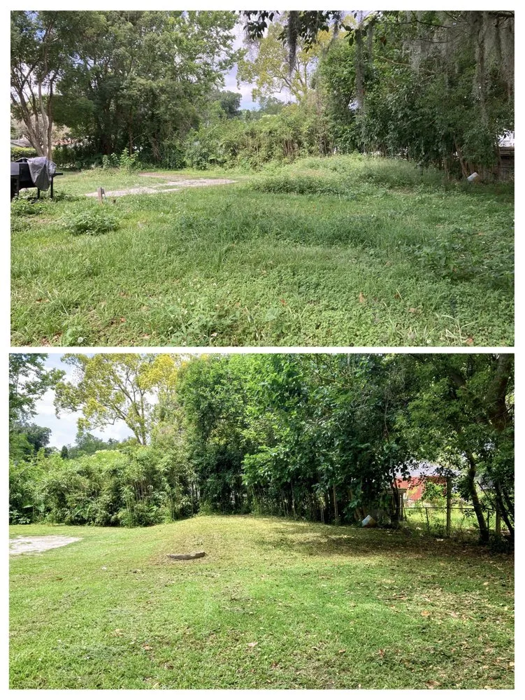 Affordable yard cleanup service for outdoor upgrades across Jacksonville, FL - EJK Lawns