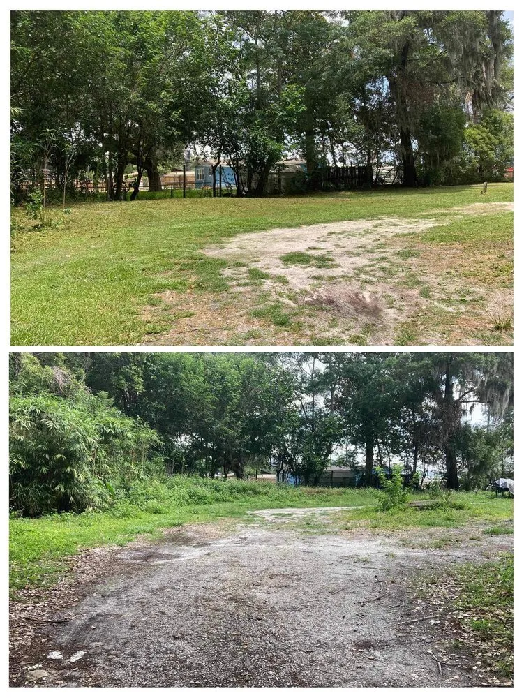 Professional landscape design for outdoor upgrades in Jacksonville, FL by EJK Lawns