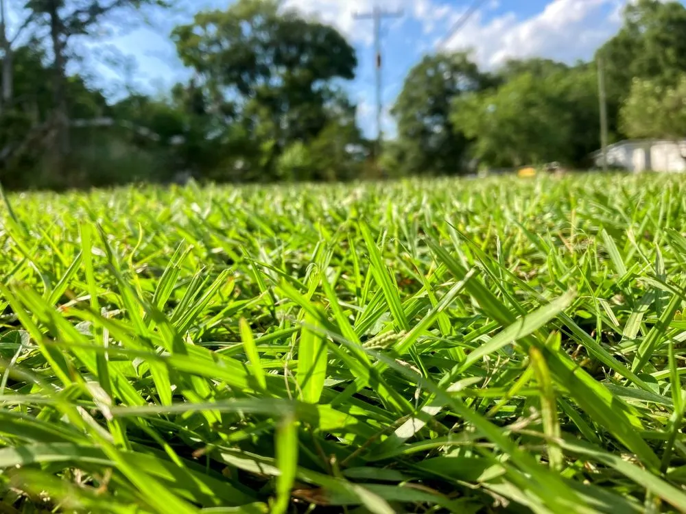 Trusted landscaping services with custom design in Jacksonville, FL by EJK Lawns