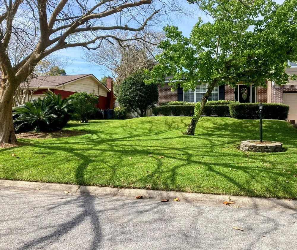 Top-rated lawn care service in Jacksonville, FL by EJK Lawns