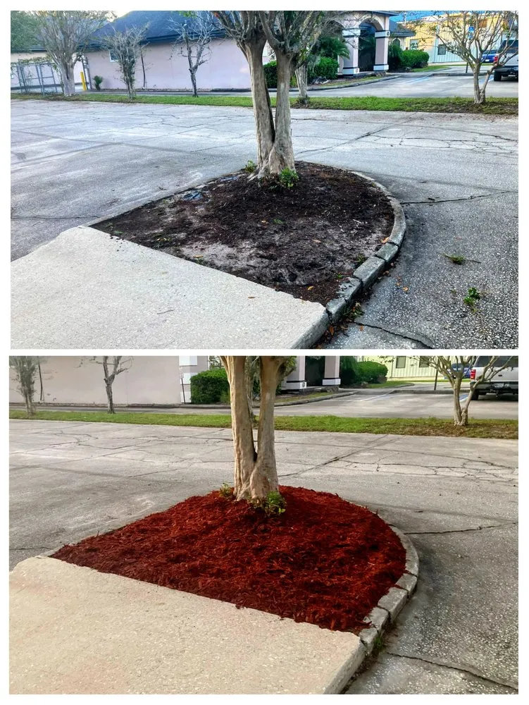 Trusted landscape design in Jacksonville, FL by EJK Lawns