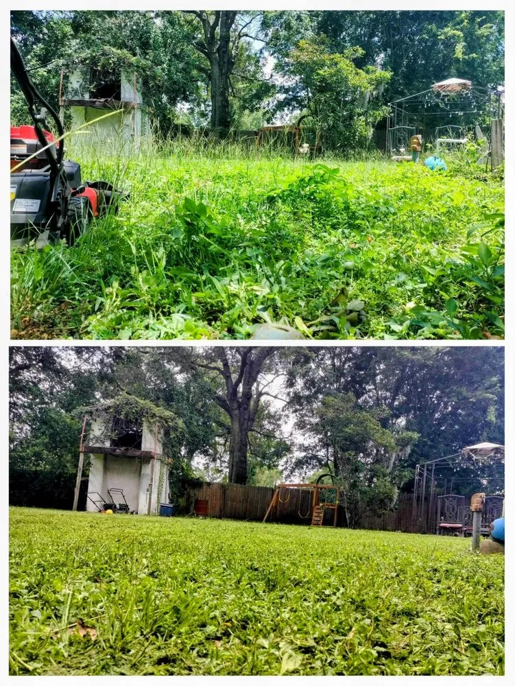 Professional outdoor landscaping in Jacksonville, FL by EJK Lawns