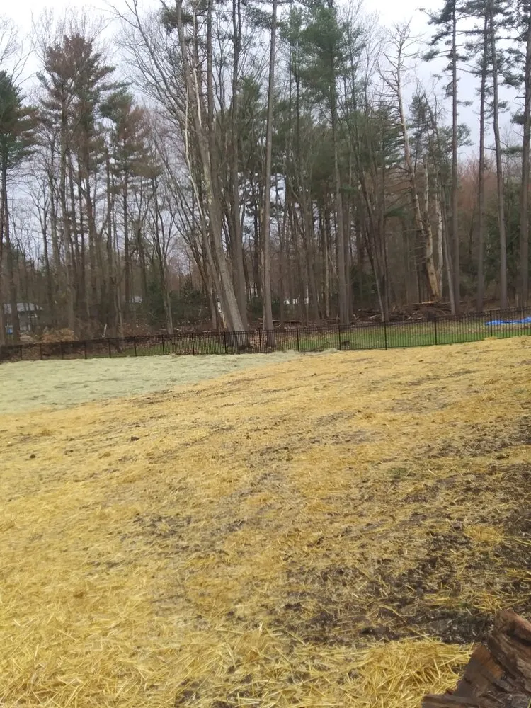 Reliable lawn care service experts serving Middlebury, VT - EJL Hauling and Land works