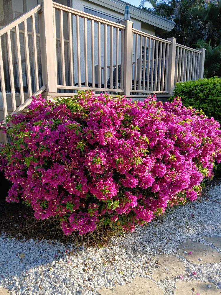 Trusted landscape installation in Bonita Springs, FL by Ejl Tree Service