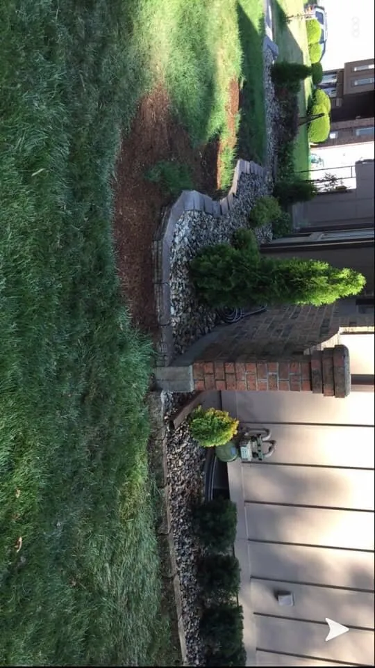 Expert yard maintenance in Lenexa, KS by EJQ Landscape & Tree Services