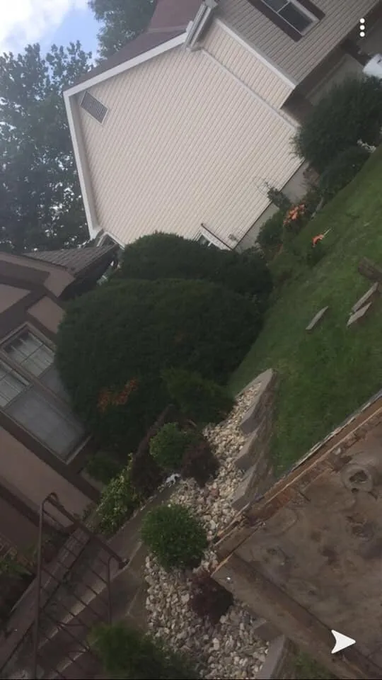 Expert lawn mowing service with custom design in Lenexa, KS by EJQ Landscape & Tree Services