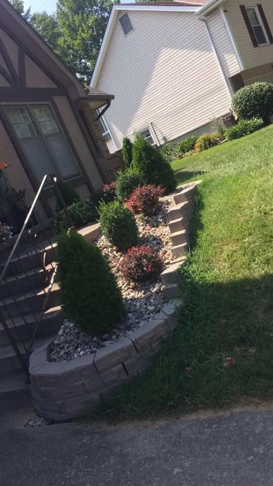 Professional lawn care service in Lenexa, KS - EJQ Landscape & Tree Services