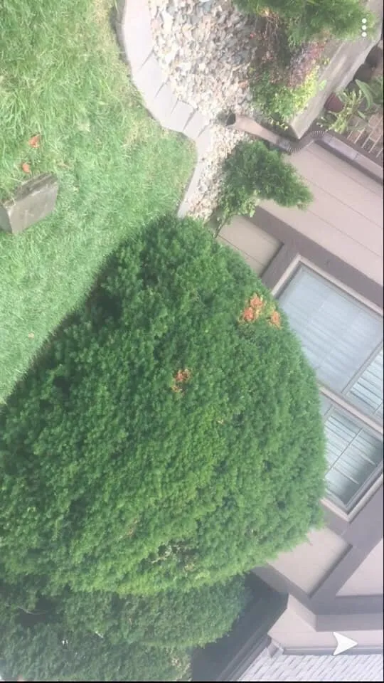 Affordable residential landscaping for homes in Lenexa, KS by EJQ Landscape & Tree Services