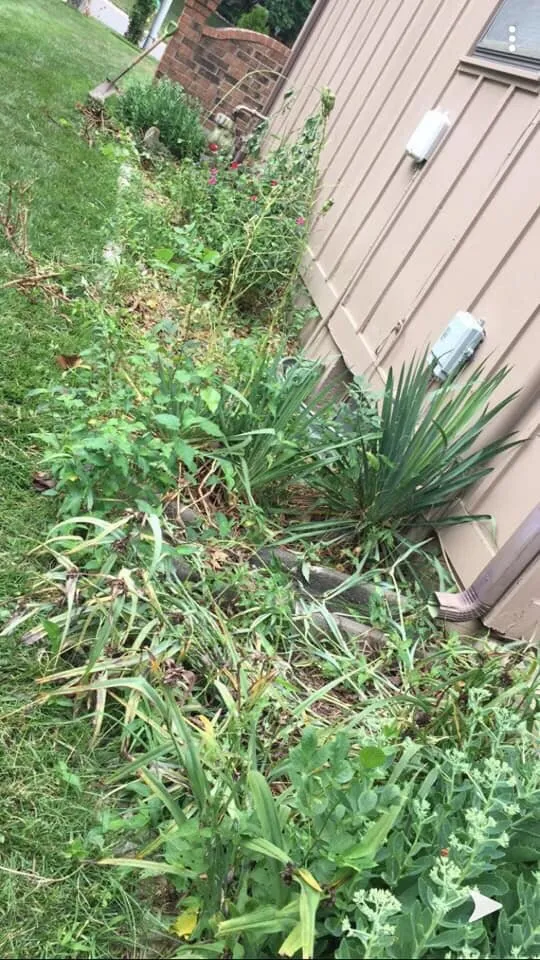 Reliable outdoor landscaping in Lenexa, KS by EJQ Landscape & Tree Services