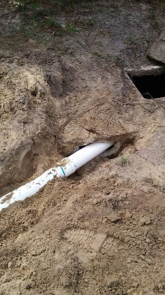 Professional yard cleanup service in Spring Hill, FL by EJR Labor and Property Maintenance