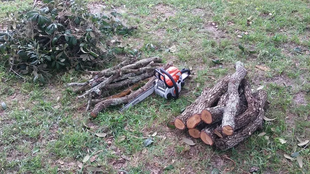 Reliable landscape installation experts serving Spring Hill, FL - EJR Labor and Property Maintenance