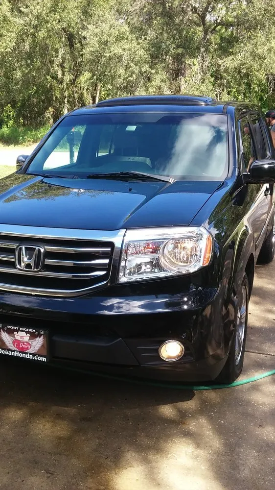 Top-rated yard cleanup service experts serving Spring Hill, FL - EJR Labor and Property Maintenance