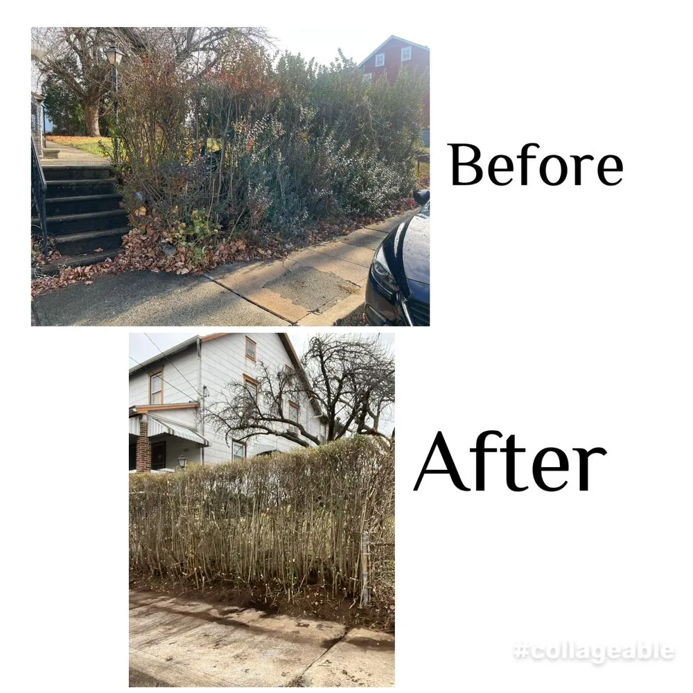 Top-rated lawn mowing service in Leesport, PA - EJ’s Four Seasons