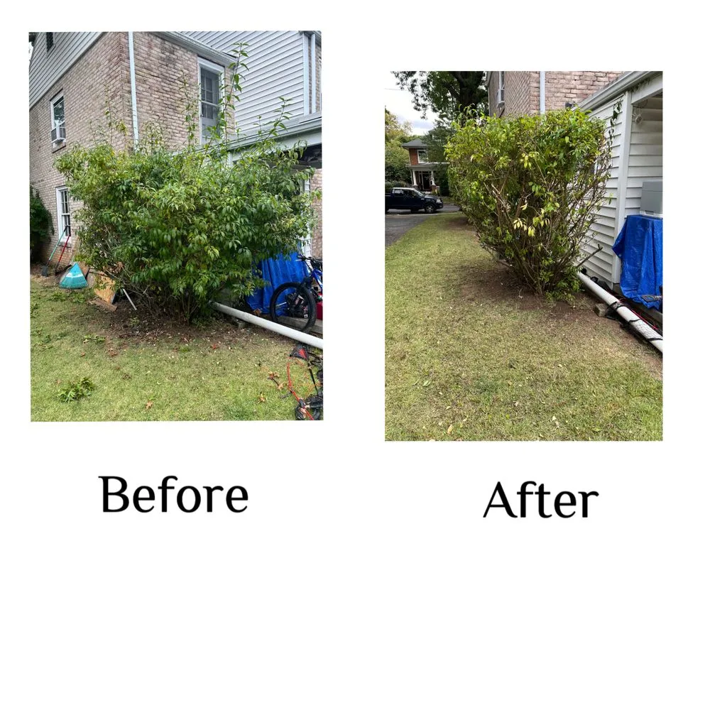 Local lawn care service in Leesport, PA by EJ’s Four Seasons