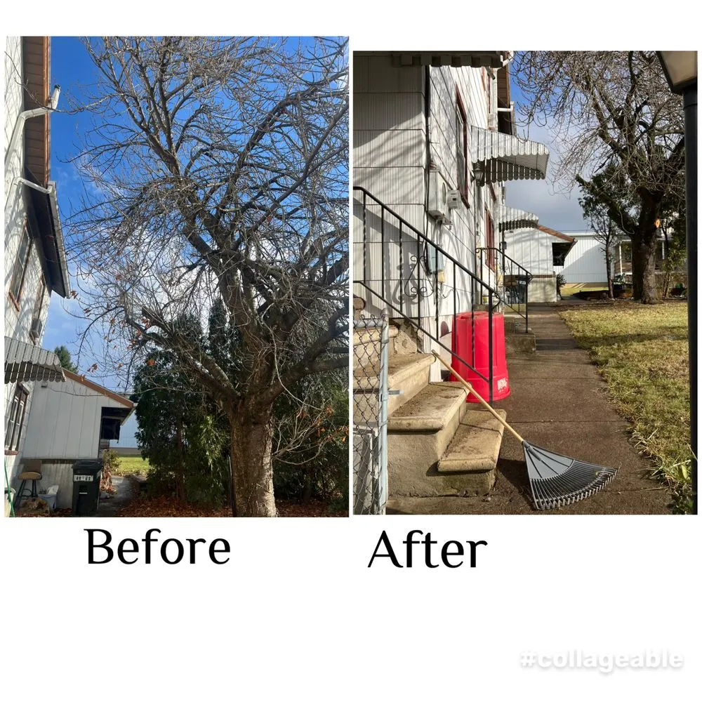 Reliable outdoor landscaping for beautiful yards in Leesport, PA by EJ’s Four Seasons