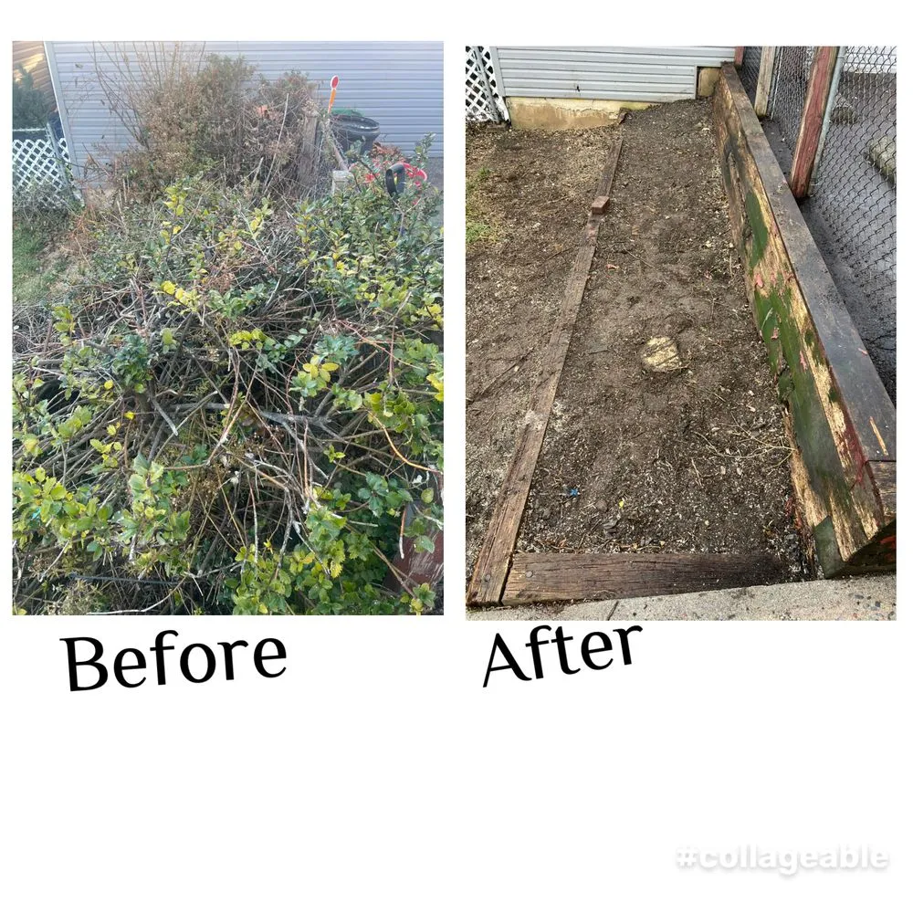 Reliable residential landscaping experts serving Leesport, PA - EJ’s Four Seasons