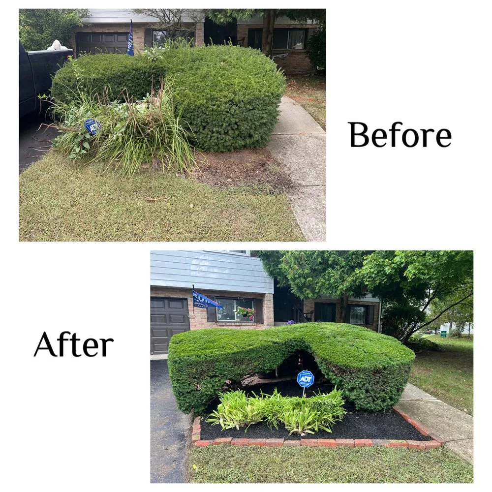 Professional yard cleanup service in Leesport, PA by EJ’s Four Seasons