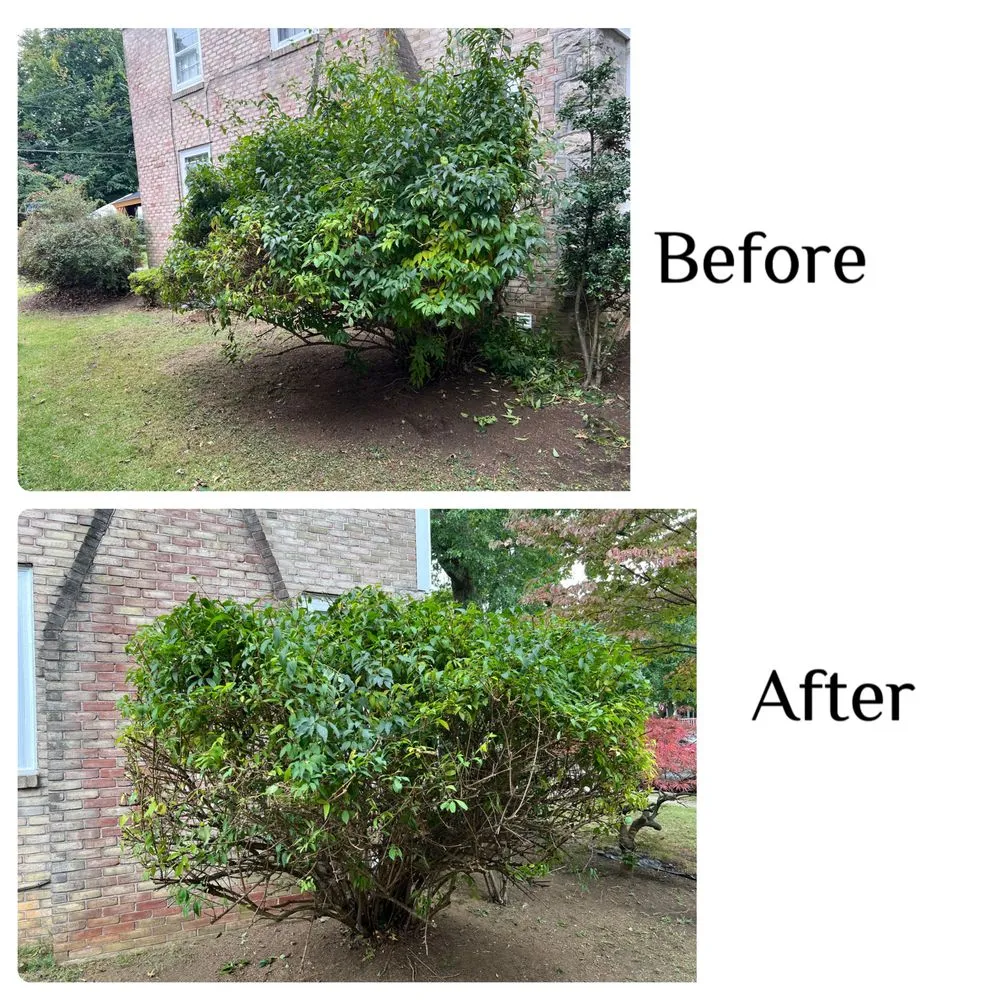 Reliable outdoor landscaping in Leesport, PA by EJ’s Four Seasons