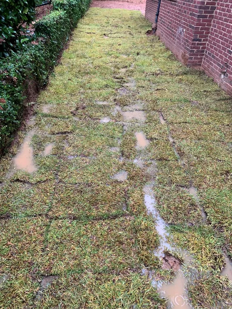 Professional lawn care service in Cairo, GA - EJs Landscape and Lawn