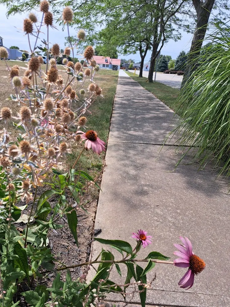 Reliable landscape installation in Washington Court House, OH by EJ's Lawn Care