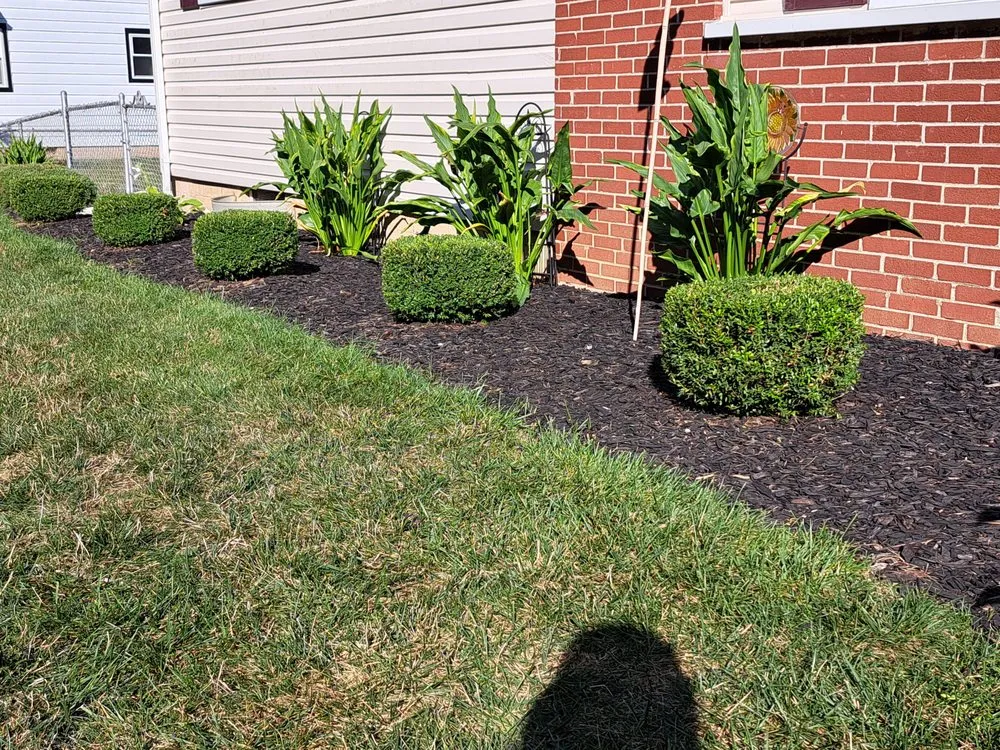 Professional yard cleanup service near you across Washington Court House, OH - EJ's Lawn Care