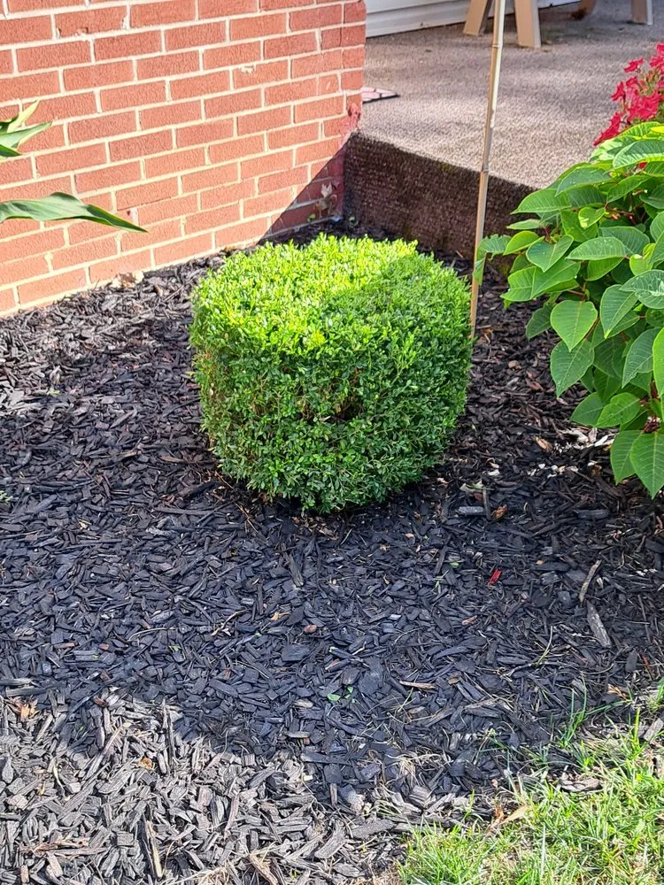 Local garden landscaping experts serving Washington Court House, OH - EJ's Lawn Care