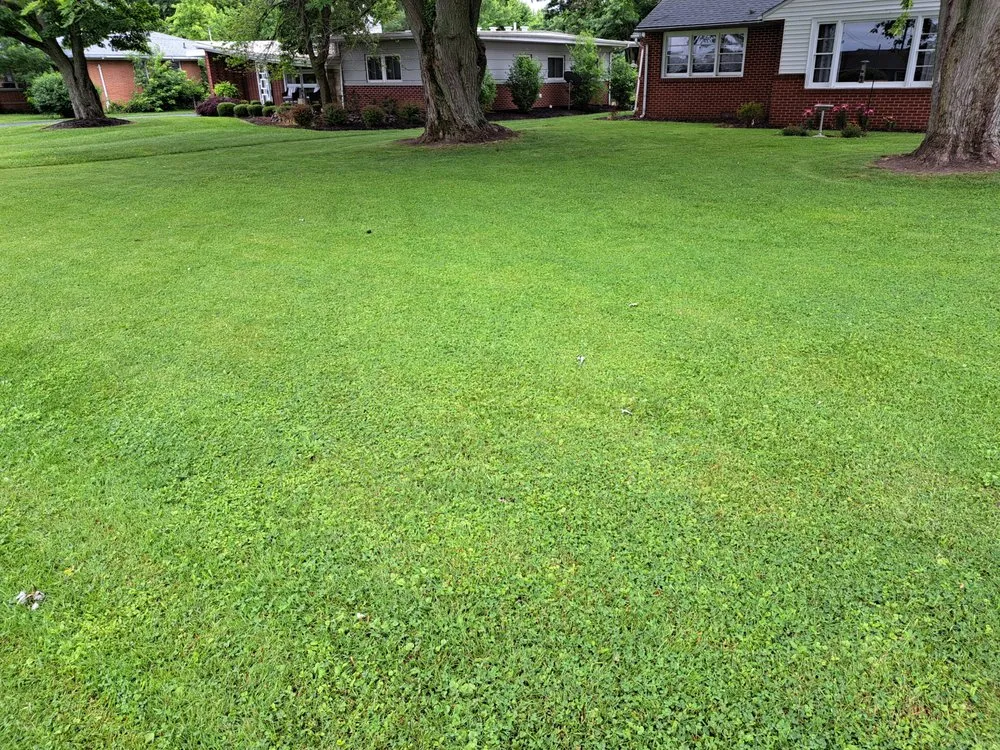 Affordable yard cleanup service in Washington Court House, OH - EJ's Lawn Care
