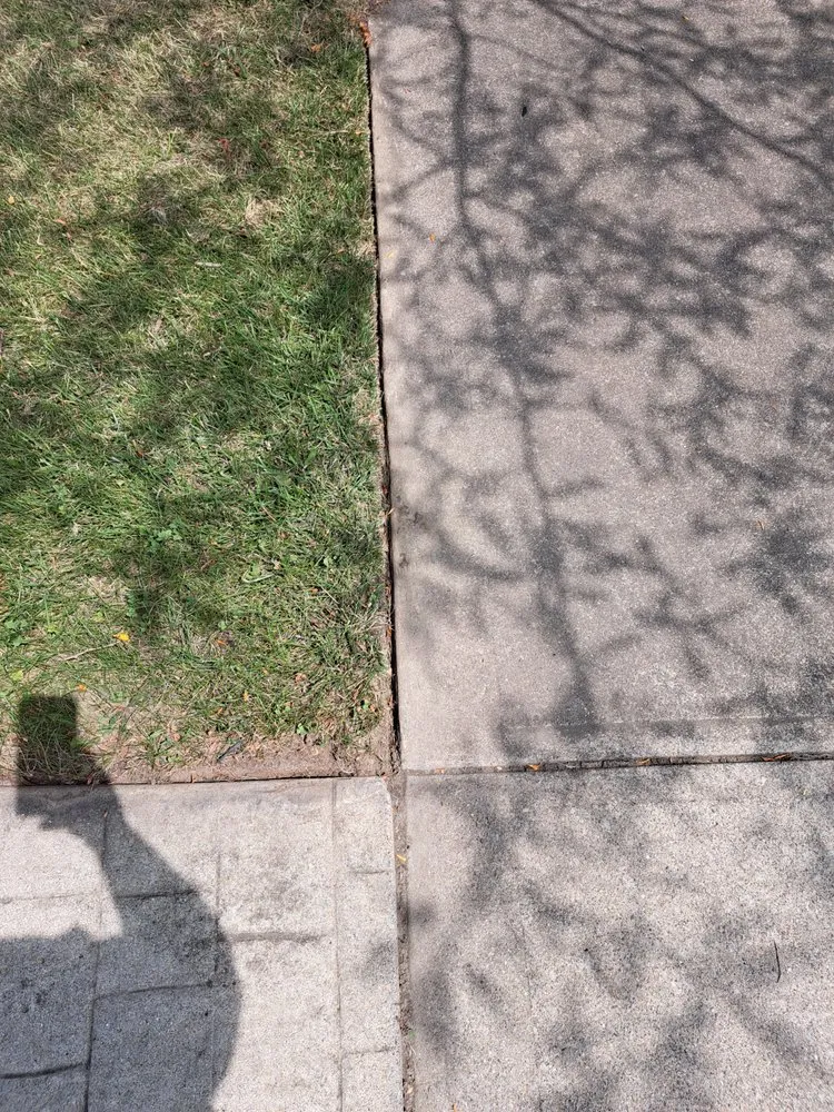 Top-rated yard cleanup service near you in Washington Court House, OH by EJ's Lawn Care