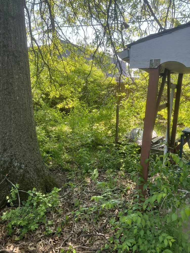 Reliable landscape installation in East St. Louis, IL - EK Lawn Care Service
