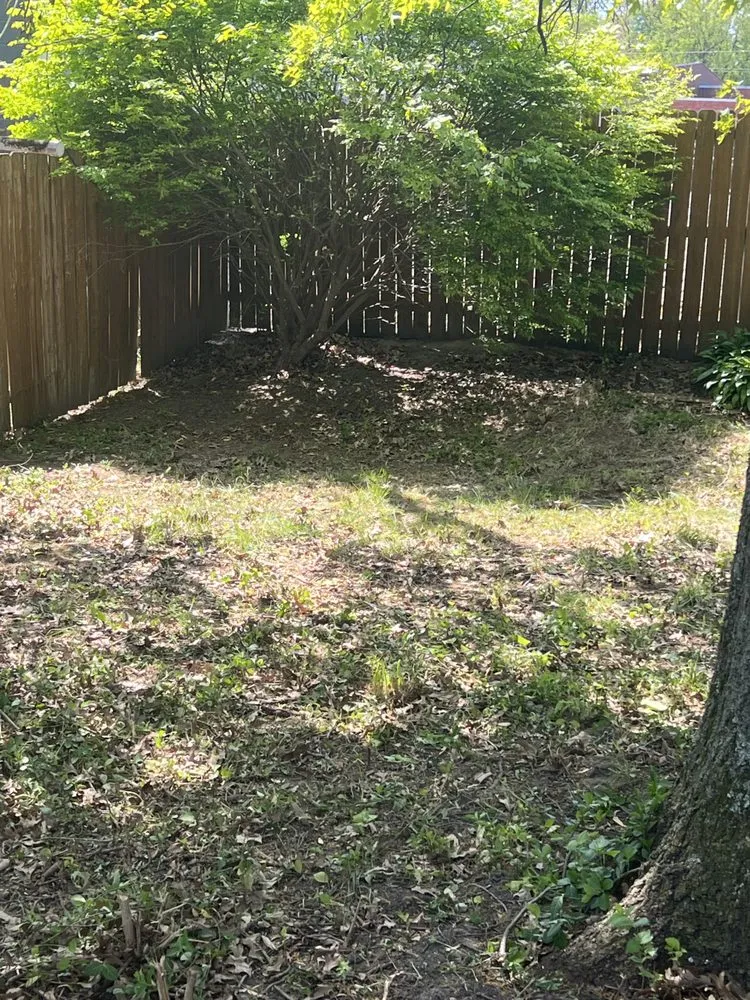 Local outdoor landscaping in East St. Louis, IL - EK Lawn Care Service