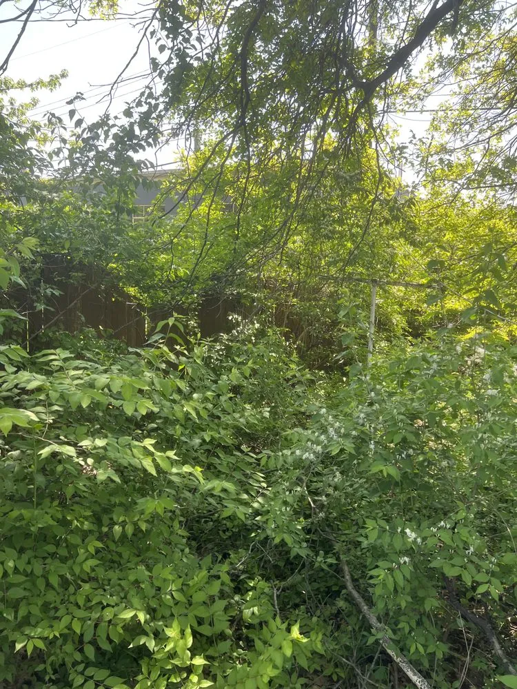 Custom yard cleanup service in East St. Louis, IL by EK Lawn Care Service