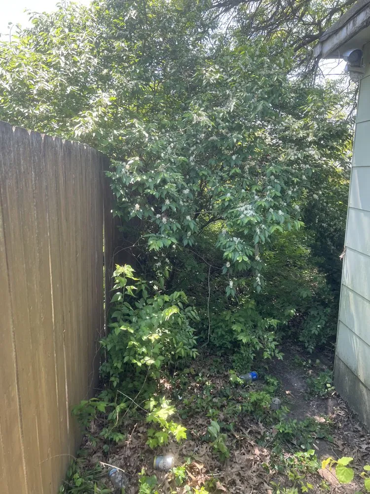 Top-rated garden landscaping with custom design in East St. Louis, IL by EK Lawn Care Service