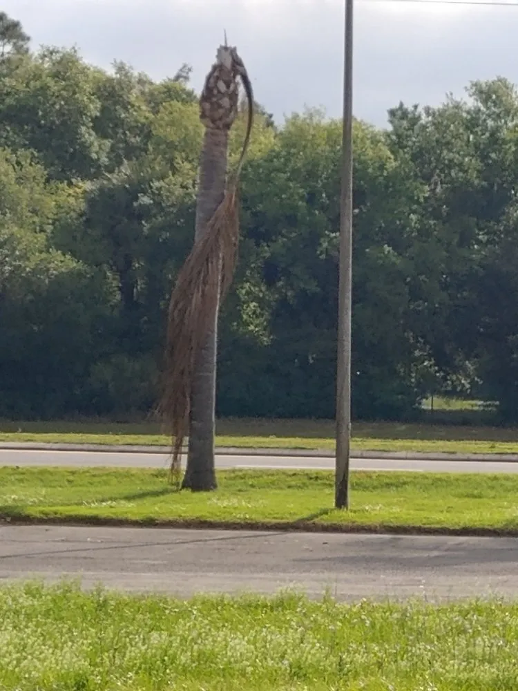 Reliable garden landscaping for beautiful yards in Orange City, FL by Ek Sod And Outdoors Services