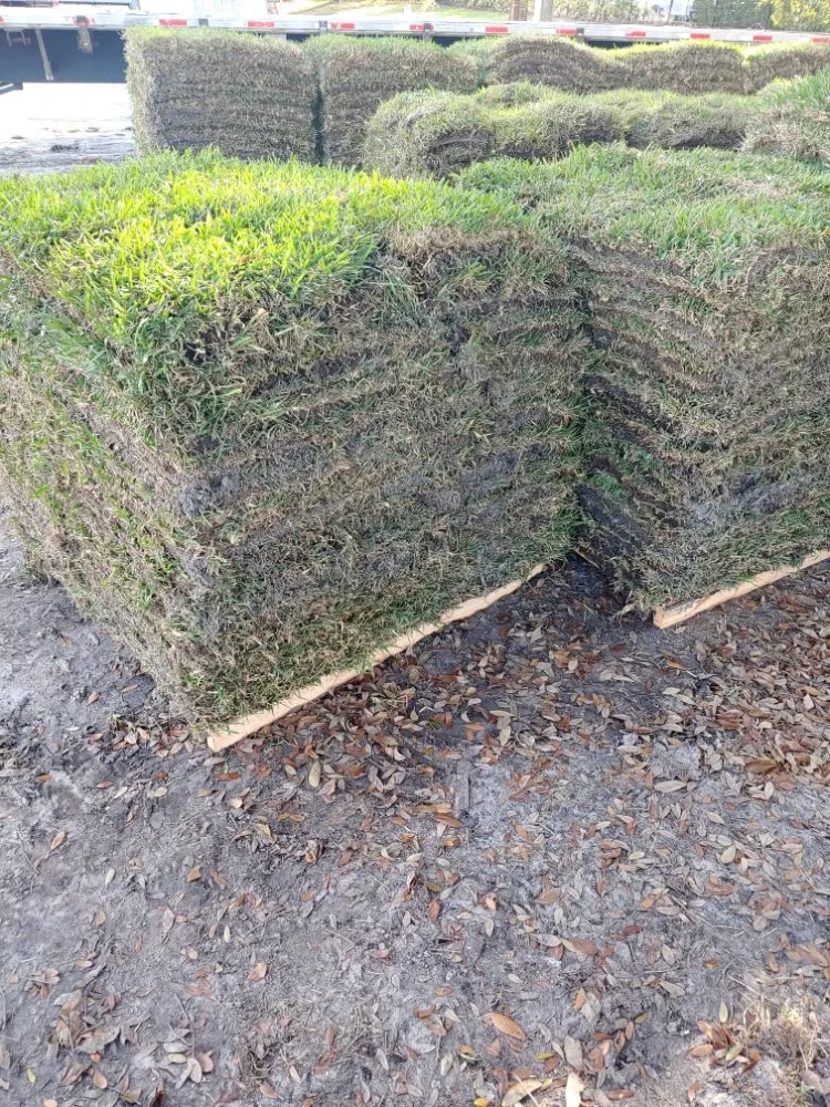 Local landscaping services in Orange City, FL - Ek Sod And Outdoors Services