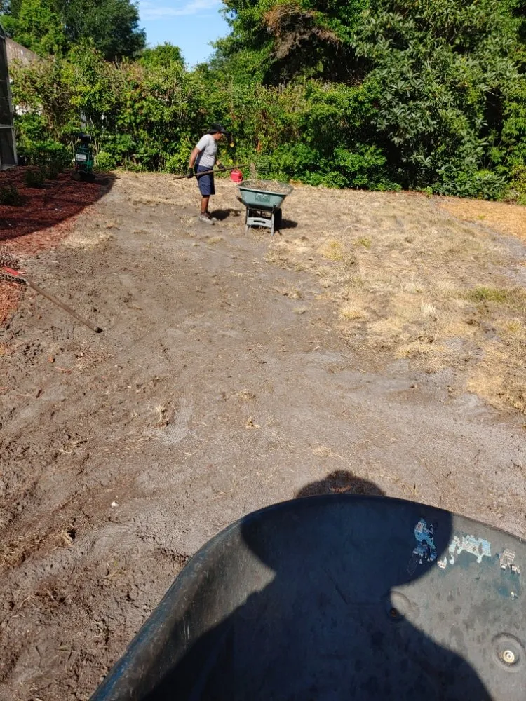 Trusted residential landscaping in Orange City, FL by Ek Sod And Outdoors Services