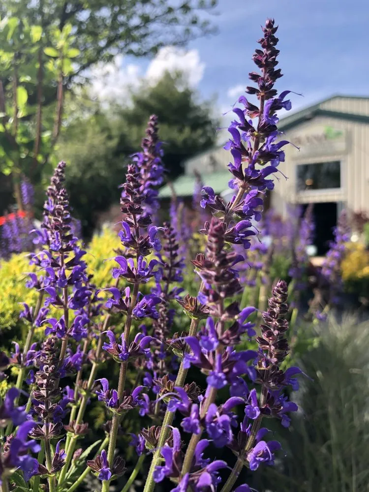 Reliable garden landscaping experts serving Mendota, IL - Ekana Nursery & Landscaping