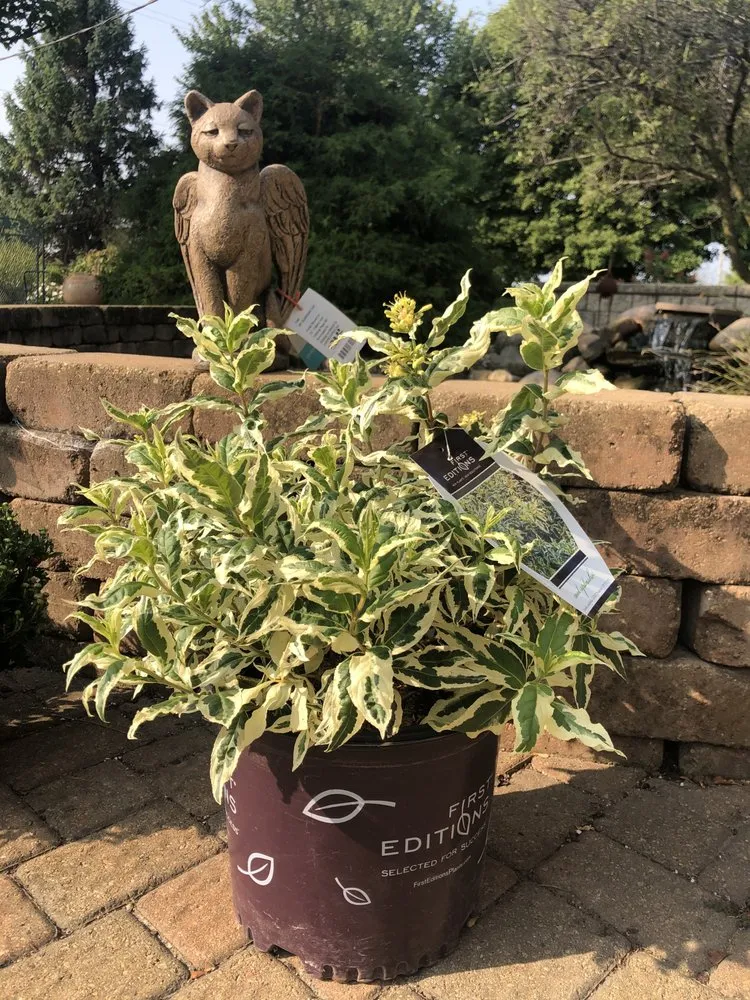 Professional garden landscaping near you across Mendota, IL - Ekana Nursery & Landscaping