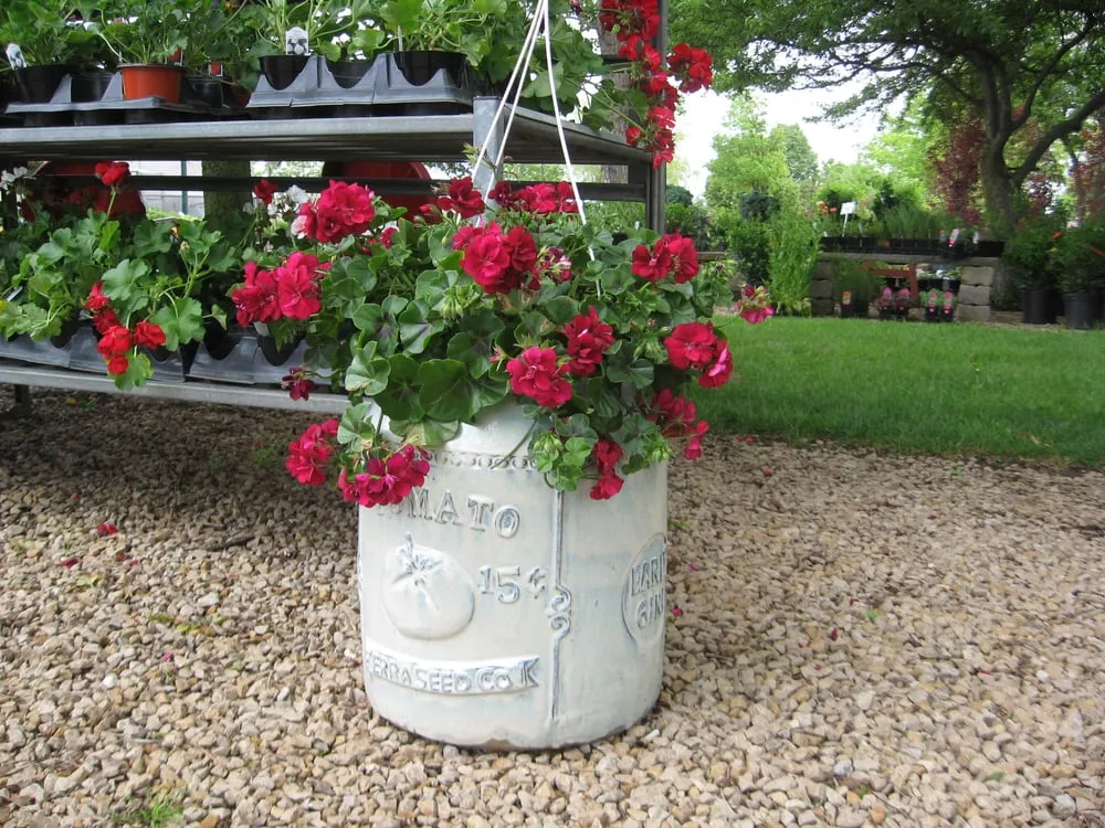 Professional yard maintenance in Mendota, IL by Ekana Nursery & Landscaping