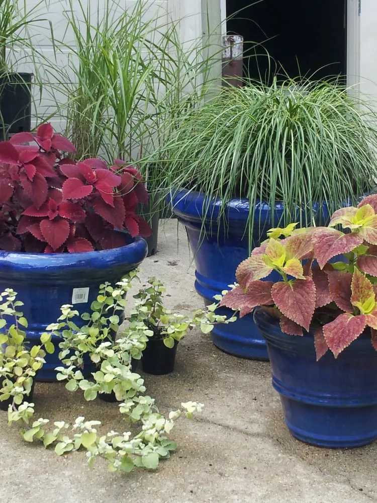 Professional garden landscaping in Mendota, IL - Ekana Nursery & Landscaping