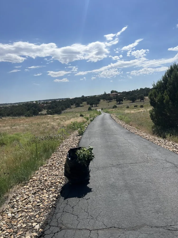 Top-rated lawn mowing service experts serving Albuquerque, NM - EKD’s Landscaping