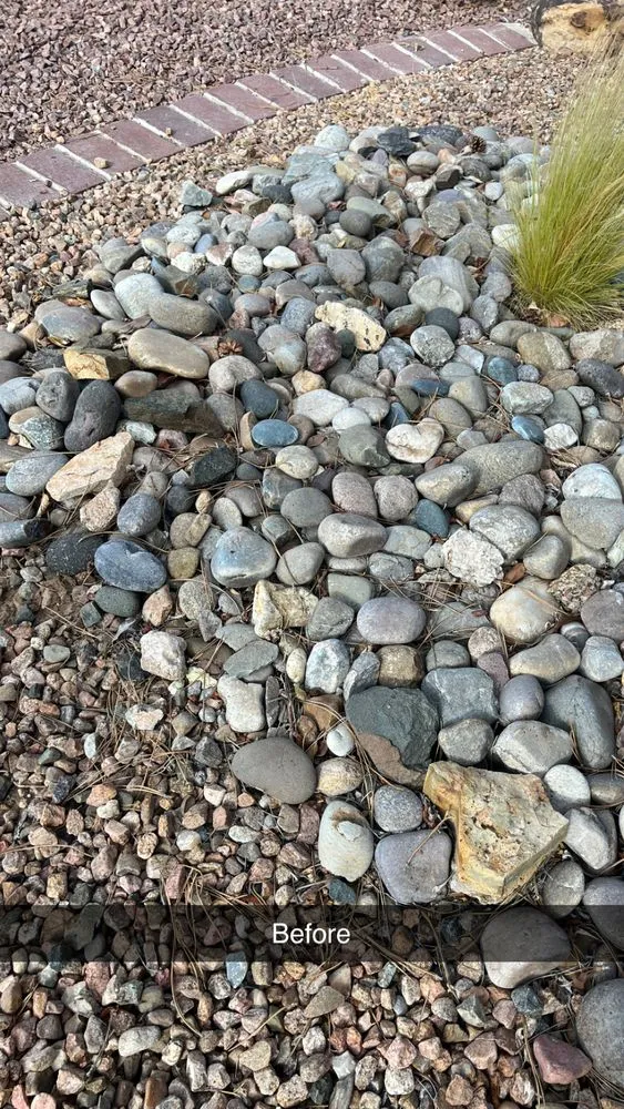 Local landscape design for residential properties across Albuquerque, NM - EKD’s Landscaping