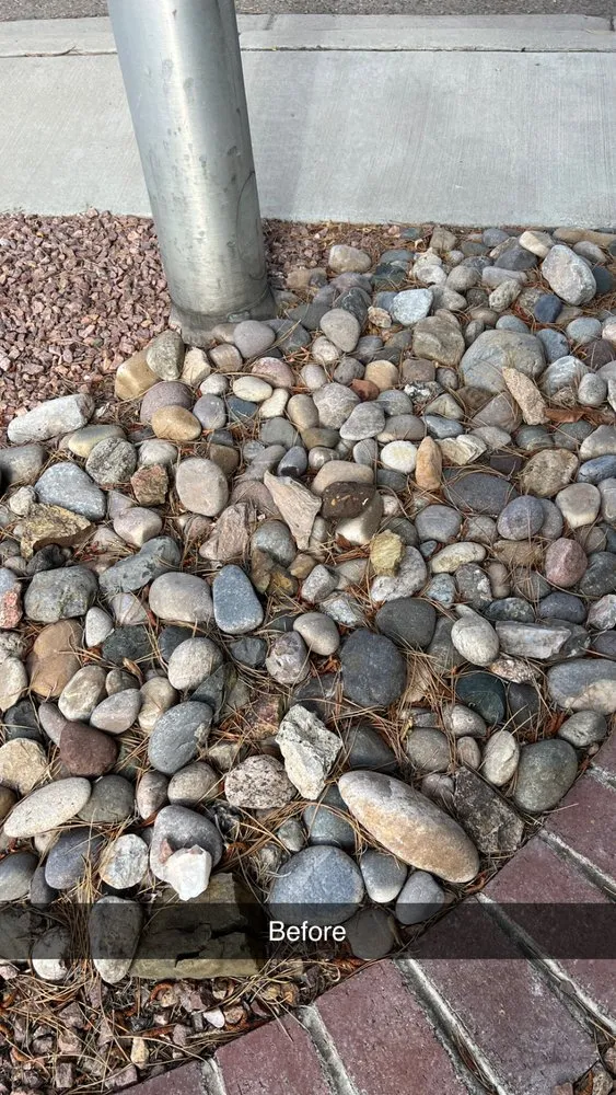 Local residential landscaping near you across Albuquerque, NM - EKD’s Landscaping