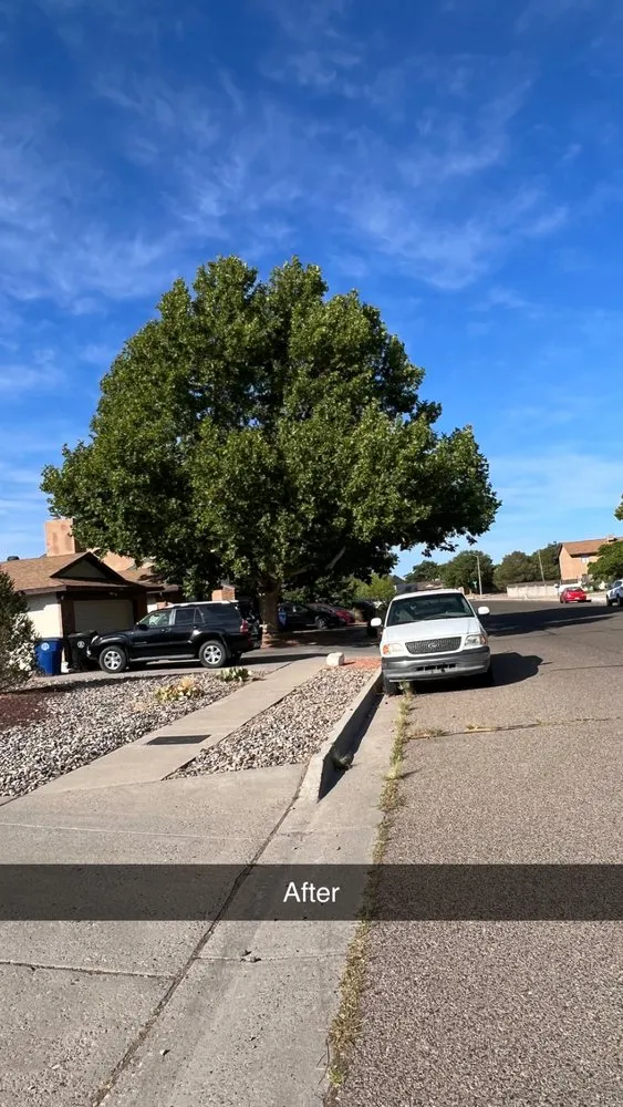 Top-rated yard maintenance for outdoor upgrades in Albuquerque, NM by EKD’s Landscaping