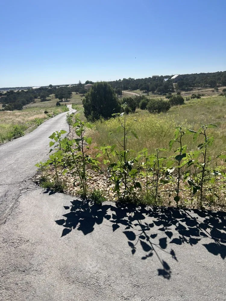 Professional landscaping services in Albuquerque, NM by EKD’s Landscaping