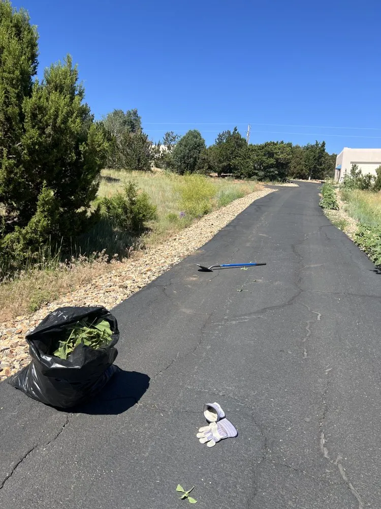 Top-rated outdoor landscaping in Albuquerque, NM - EKD’s Landscaping