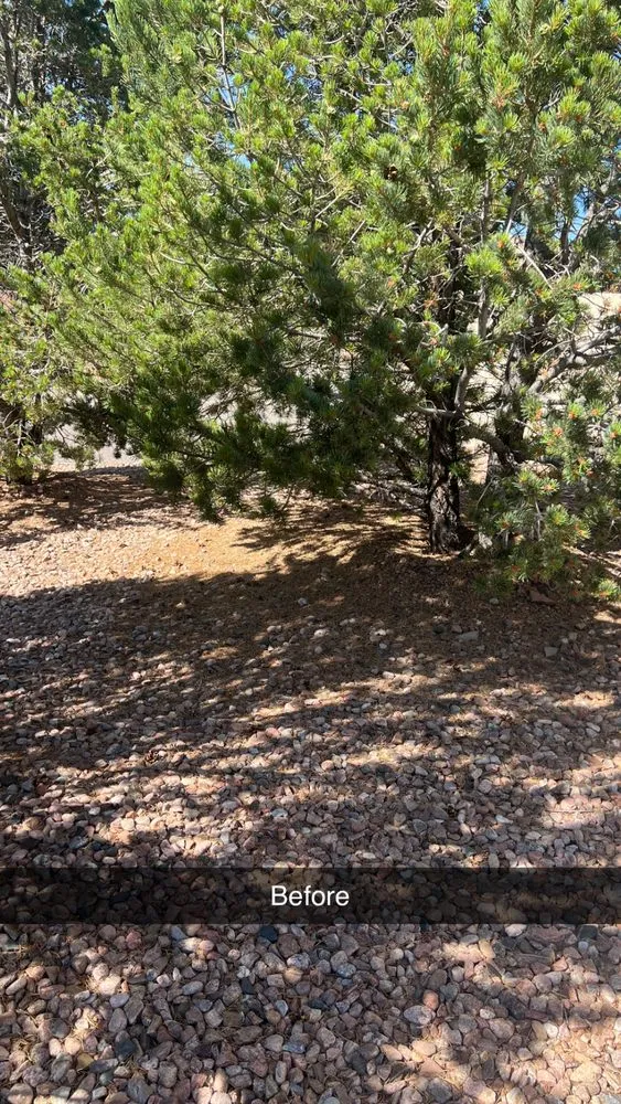 Reliable landscaping services experts serving Albuquerque, NM - EKD’s Landscaping