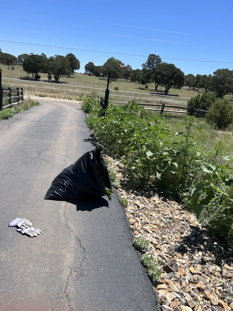 Top-rated yard cleanup service experts serving Albuquerque, NM - EKD’s Landscaping