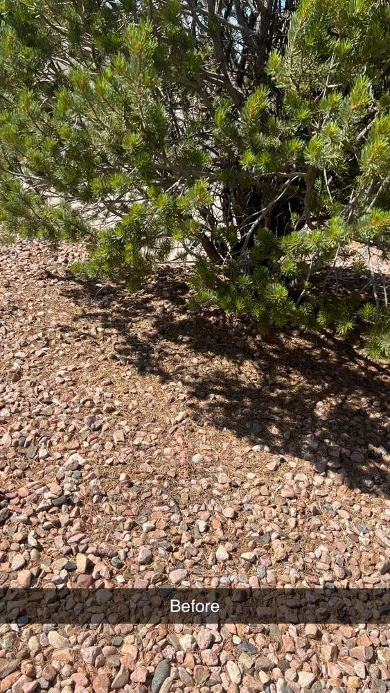 Trusted landscape installation with custom design in Albuquerque, NM by EKD’s Landscaping