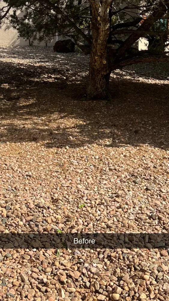 Affordable lawn care service for beautiful yards across Albuquerque, NM - EKD’s Landscaping