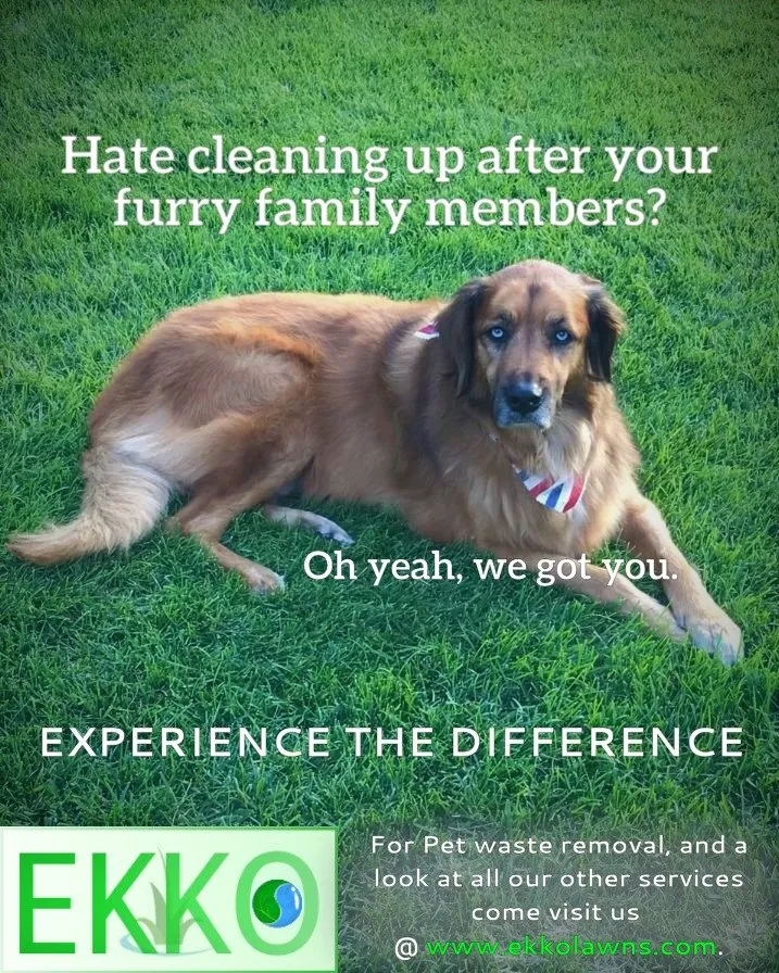 Reliable landscape installation in Channahon, IL by Ekko